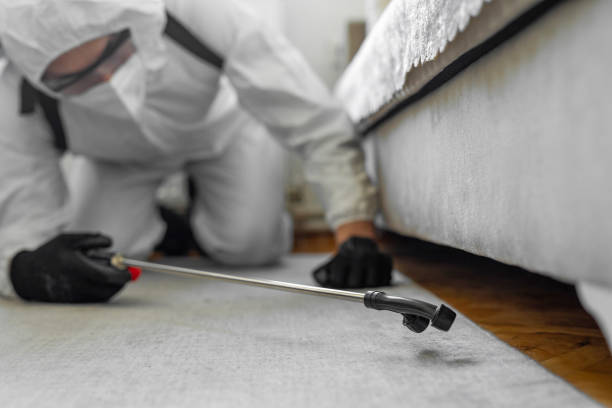 Professional Wasp Control technician working in Floral City, FL