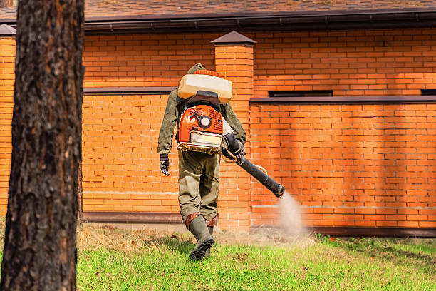 Trusted Mosquito Control service in Floral City, FL - Nex Pest Control
